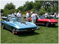 ProTeam Classic Corvettes for Sale